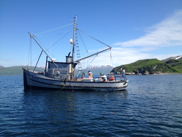 The Powerful Impacts of Climate Change on Fisheries